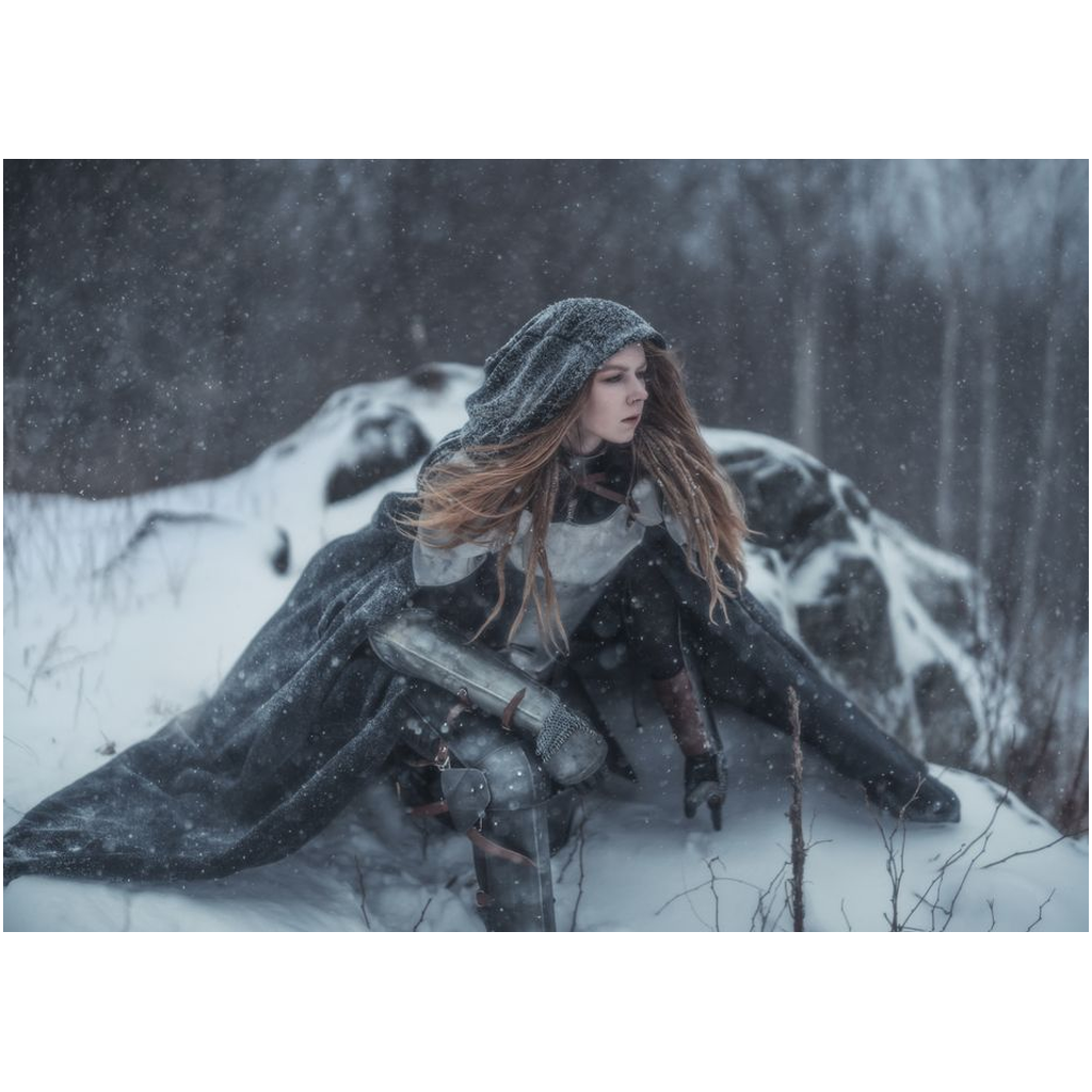 Winter Knight