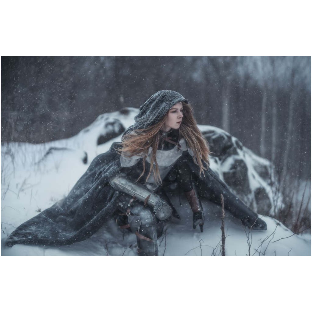Winter Knight