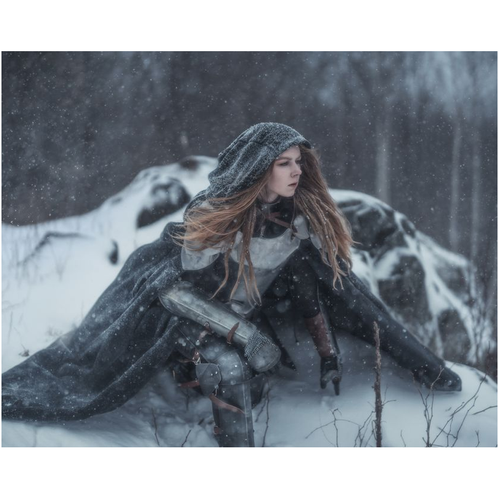Winter Knight