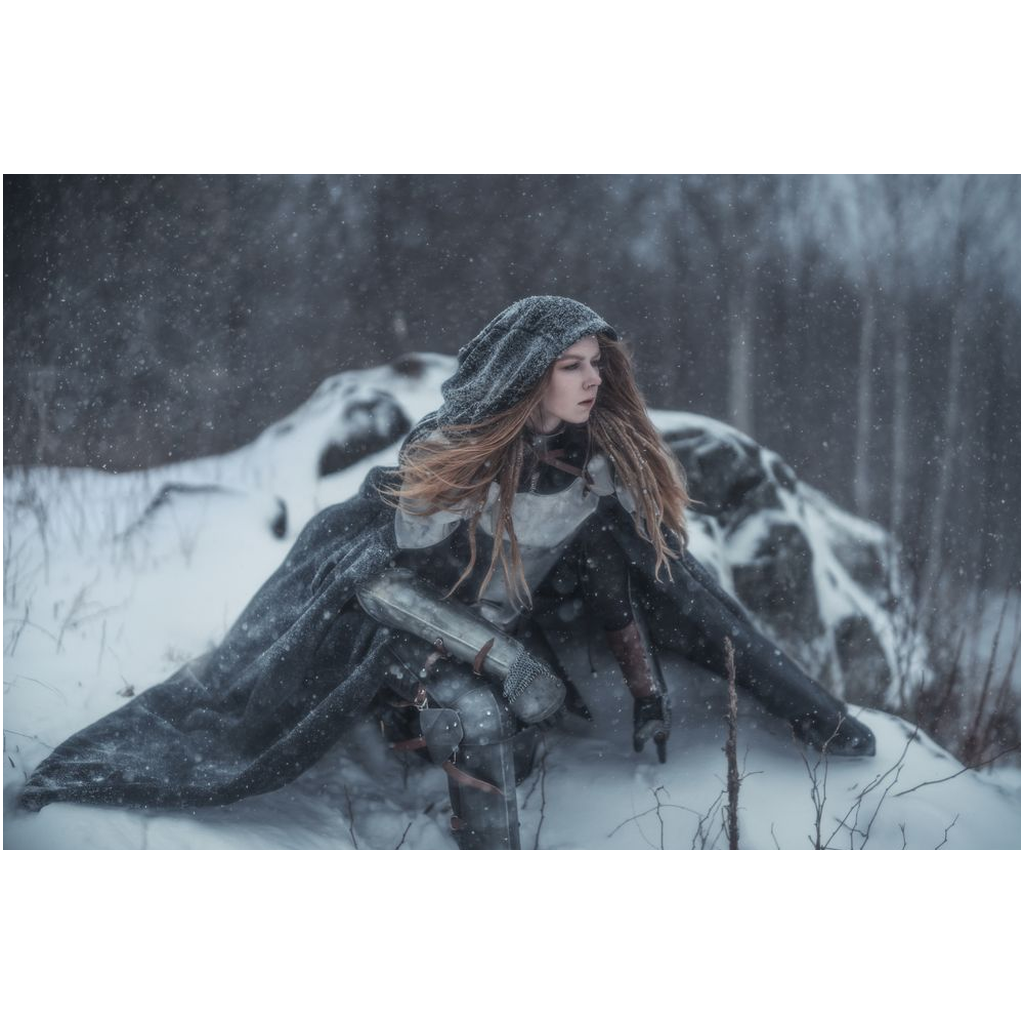 Winter Knight