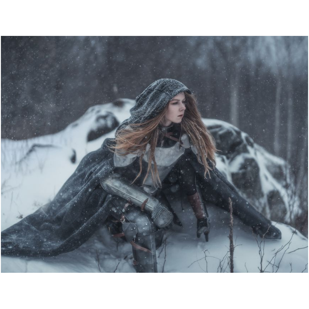 Winter Knight