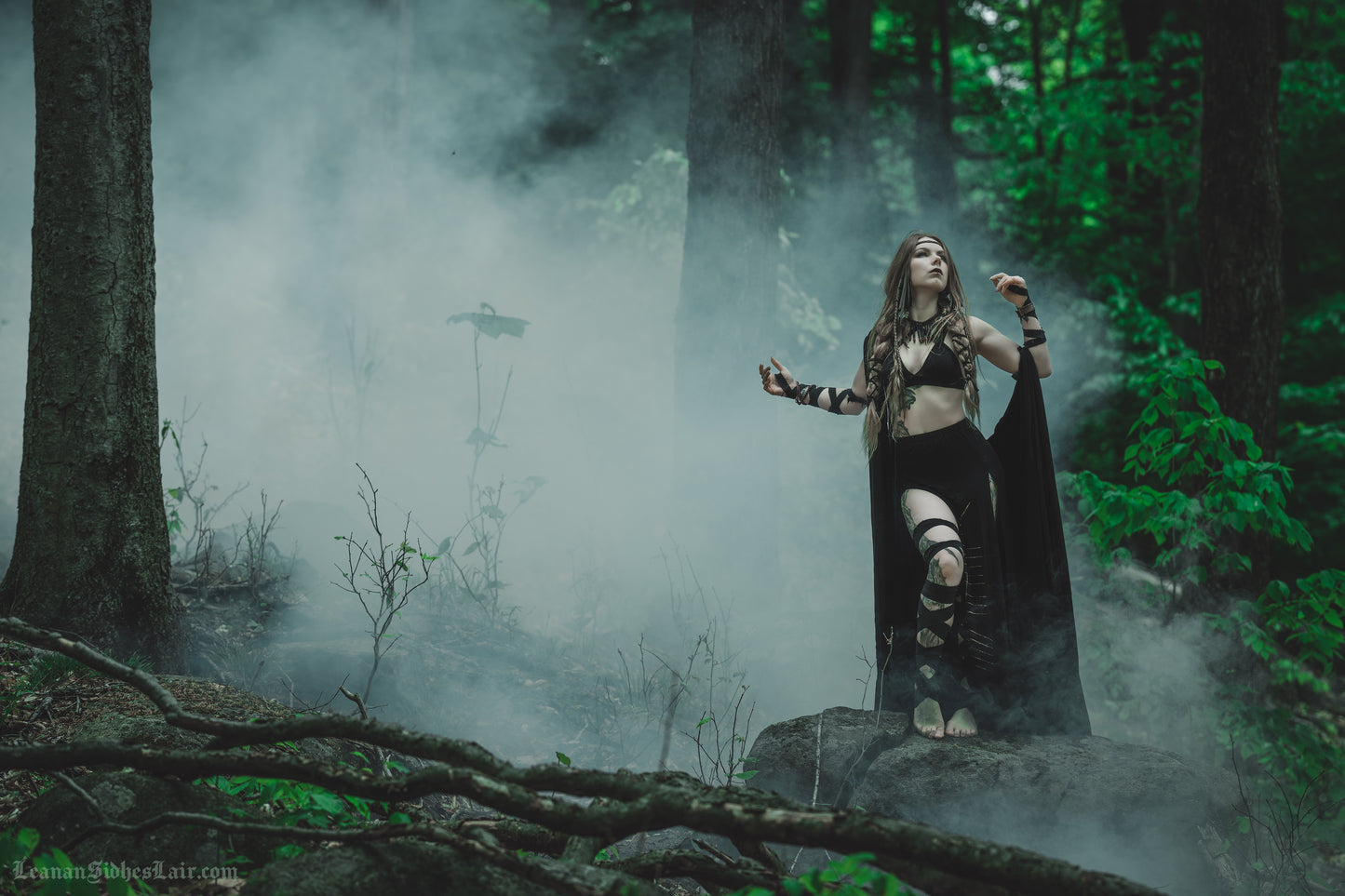 Morrigan I